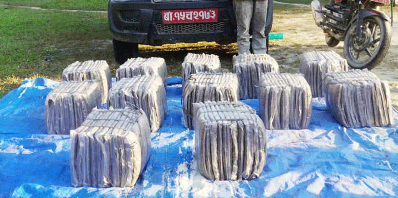 सशस्त्रद्वारा एक राउण्ड हवाई फायर, १५३ किलो गाँजासहित चालक नियन्त्रणमा