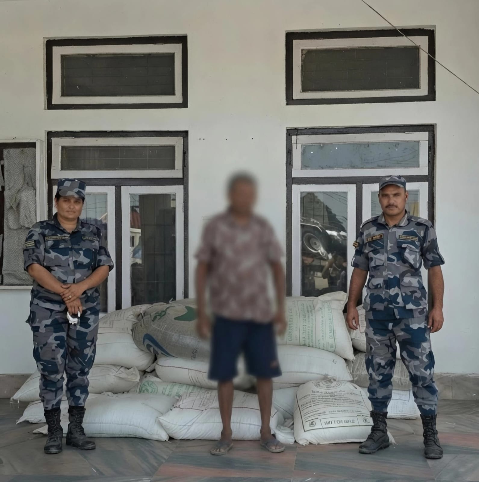 पुनर्वासमा तोरी तस्करी गरिरहेको अवस्थामा एक जना पक्राउ, गोरु गाडा र तोरीसहित भन्सार चलान