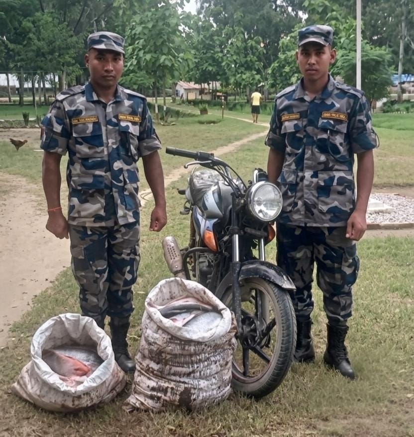 कञ्चनपुरको दक्षिणी सीमा क्षेत्रमा सशस्त्र प्रहरीको सक्रियता: चार लाखभन्दा बढीको अवैध सामान र सवारीसाधन नियन्त्रणमा